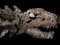 Fossils and Their Significance