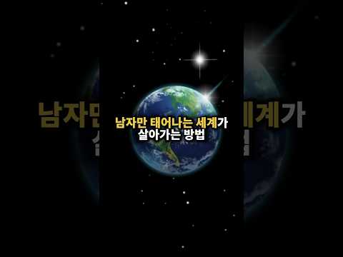 남자만 태어나는 세계가 살아남는 방법