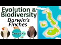 Darwin's Finches and Natural Selection