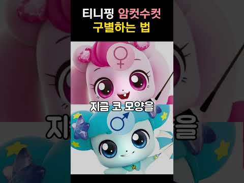 이해하면 무서운 티니핑 성별 구별하는 방법