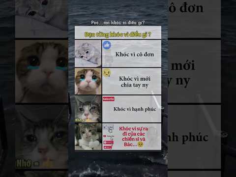 #memes #funnymemes mn từng khóc vì điều gì?còn tui đầu và cuối nha🥺🥺