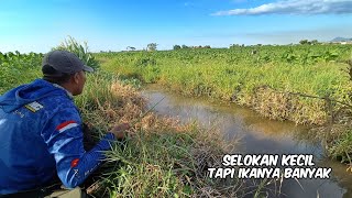 Harus cepat di pancingi selokan Kecil ini,sebelum ketauan tukang PLN berjalan