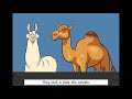 Farm Animals and Llamas