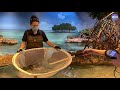 Ray Examination Procedures and Techniques