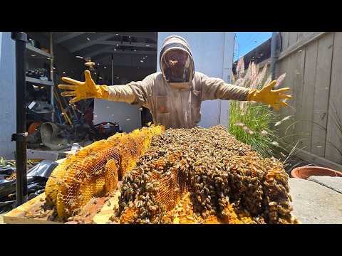 100lbs of Honey in Their Floor!