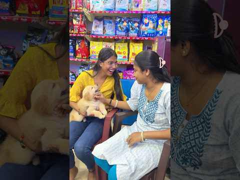 Our first baby🐶❤️#chotpoti #minivlog #vlog #bongposto #youtubeshorts #shorts #shortvideo