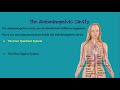 Anatomy Concepts and Terminology