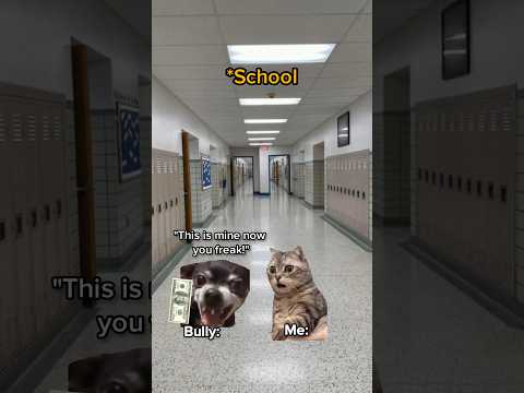 CAT MEMES 😺 Choose your superpower... #catmemes #relatable #relationship