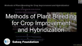Methods of Plant Breeding for Crop Improvement