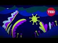 Impact of COVID-19 on Sleep Patterns