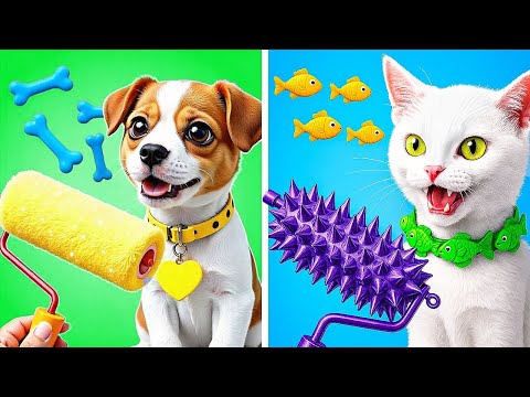 How to Take Care of Your Pet 😻 *Useful Pet Gadgets and Hacks*