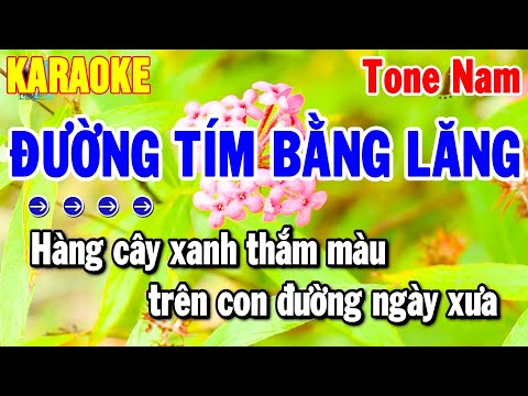 Karaoke Đường Tím Bằng Lăng Tone Nam – Nhạc Sống Beat Dễ Hát 2025 | Thanh Hải