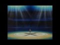 Trainer's Journey and Values