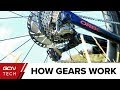 Bicycle Gears and Derailleurs Concepts