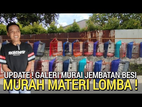 BURUNG GACOR ! MURAI BATU CUCAK IJO DISINI REKOMENDASI UNTUK LOMBA GALERI MURAI JAKARTA