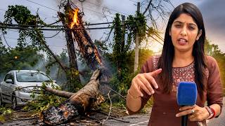 High voltage तार की चपेट में आने से पेड़ में लगी आग,  पेड़ का हिस्सा टूटकर सड़क पर गिरा।