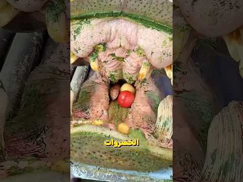 لقد صدم فرس النهر بما فعله؟!! 😮