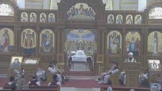 Fr Angelos Guirges - Son, your sins are forgiven you - Jun 21, 2026