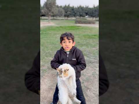 القطة فيها امراض!🐈😱