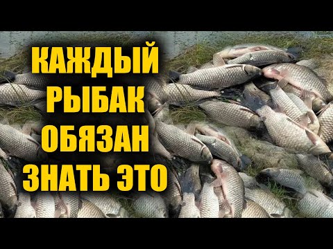 Вот от чего бешеный клёв у всей рыбы! Прикормка, насадка и активатор клёва