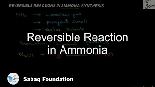 Reversible Reaction in Ammonia