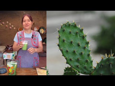 ELLA BEBIÓ AGUA DE NOPAL POR 30 días! LOS MÉDICOS QUEDARON ATÓNITOS CON EL RESULTADO!