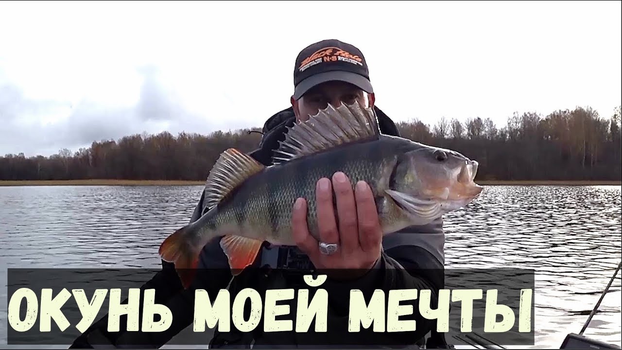 Окунь моей мечты. Личный рекорд по окуню
