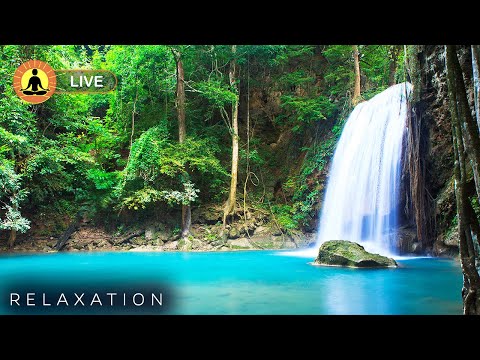 &#128308;&#160;Relaxing Music 24/7, Meditation Music, Deep Sleeping Music, Spa Music, Sleep, Zen, Study Music
