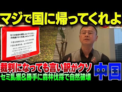 中国人、お前ら身勝手すぎん？自然破壊もいいかげんにしろよ【ゆっくり解説】