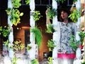 Open Source Collaboration and Window Farms