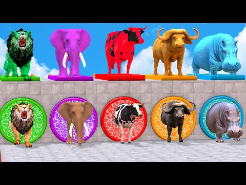 paint animal Cow Elephant Buffalo Gorilla Guess The Right Key ESCAPE ROOM CHALLENGE Animal Cage Game