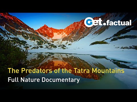 YouTube video thumbnail: The Tatra Mountains Wild at Heart