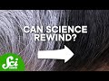 Understanding Gray Hair and Its Reversal