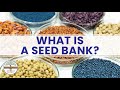Seed Banks and Their Importance