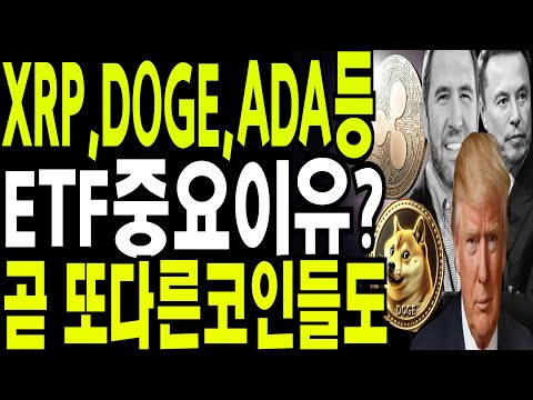 비트코인 도지코인 리플코인  XRP DOGE ADA등  ETF중요이유? 그외  또  쏟아질둣  🔥