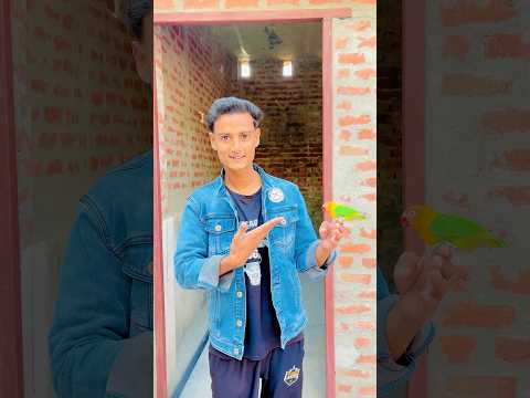 Dost Ke Sath Prank Kar Diya 😱 #minivlog #shorts #ytshorts #pets #prank