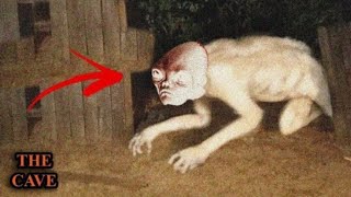 مغامرين دخلو بيت ساحر وهجم عليهم #Adventure 