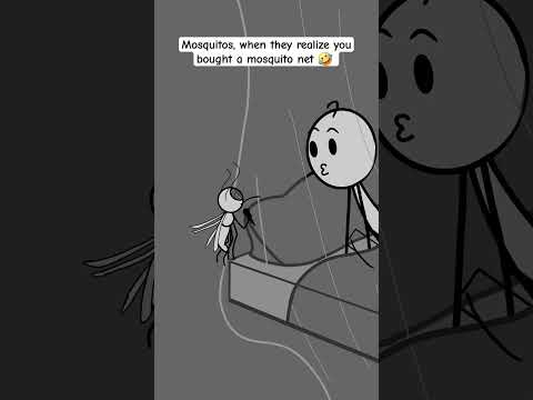 Mosquitos, when they realize you bought a mosquito net