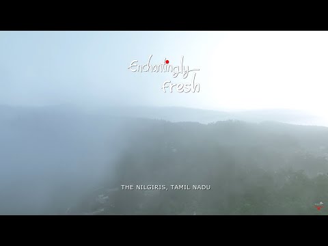 Hills Stations of Tamil Nadu that You Must Visit | Enjoy the Enchanting Flavours | The Nilgiris