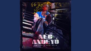 Nèg Andeyò