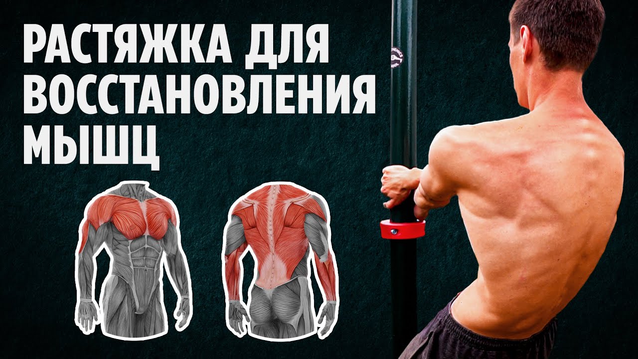 Растяжка после тренировки как ускорить восстановление мышц?