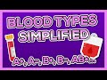 Blood Types and Compatibility Concepts