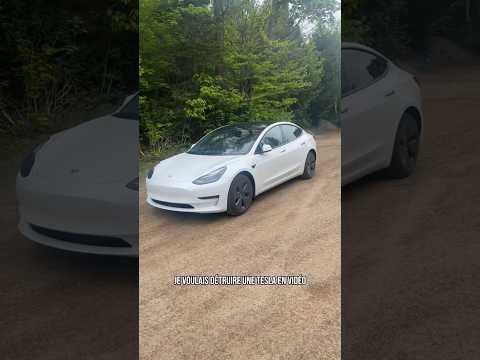 Meilleur argument de vente à la fin 😂 #tesla #model3