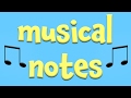 Understanding Musical Notes and Beats