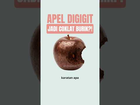 Kenapa Apel Baru Digigit Langsung Coklat Burik?