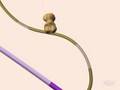 mRNA Processing and Modifications