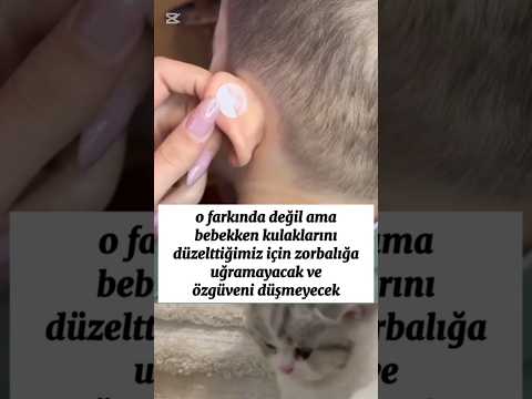 KESKE DAHA ÖNCE GÖRSEYDİM🤦🏻‍♂️ #viralvideo #kesfeteyyiz #shortsfeed #viralshorts #viralshort #shorts