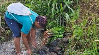 Gendot bumbu tempe dan peyek belalang hasil mbolang di sawah setelah panen untuk makan siang