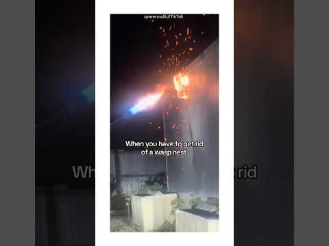 Ultimate Wasp Removal - Flamethrower