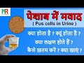 Pus Cells and Infections